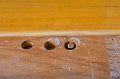 IMG_8543_800w